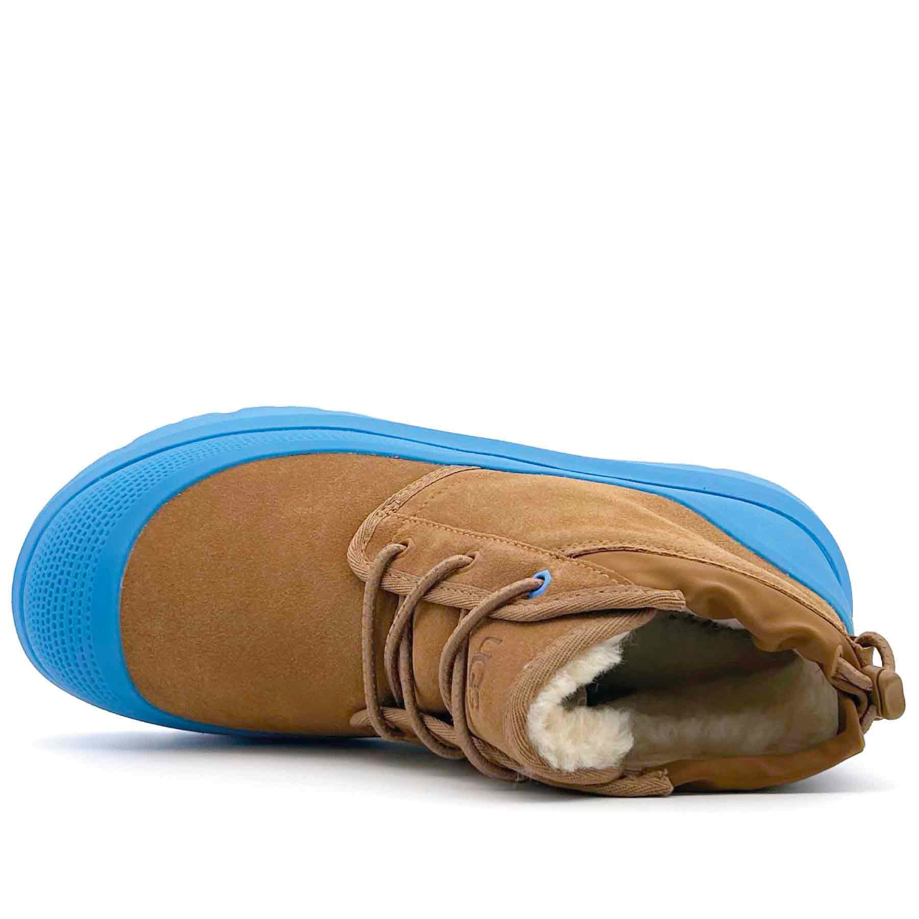 Neumel Weather Hybrid Chestnut / Bigsky