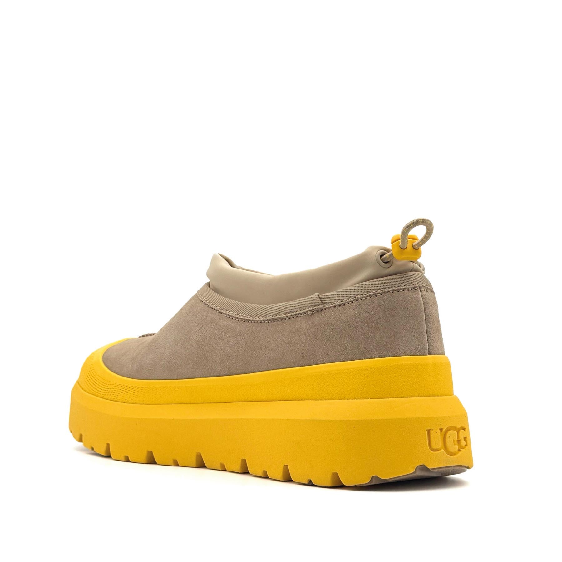 Tasman Weather Hybrid Mustard Seeds S Wheat