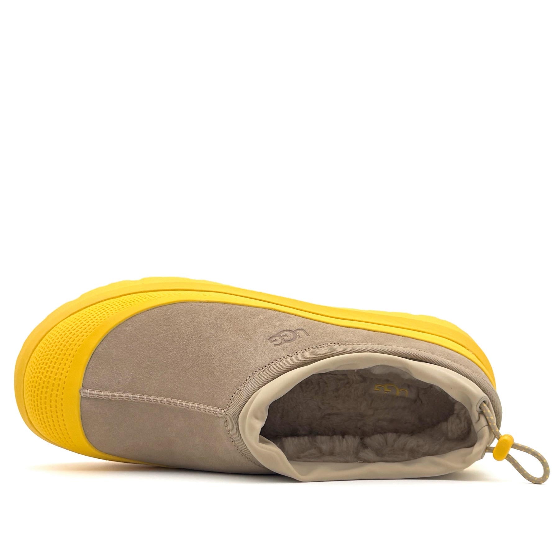 Tasman Weather Hybrid Mustard Seeds S Wheat