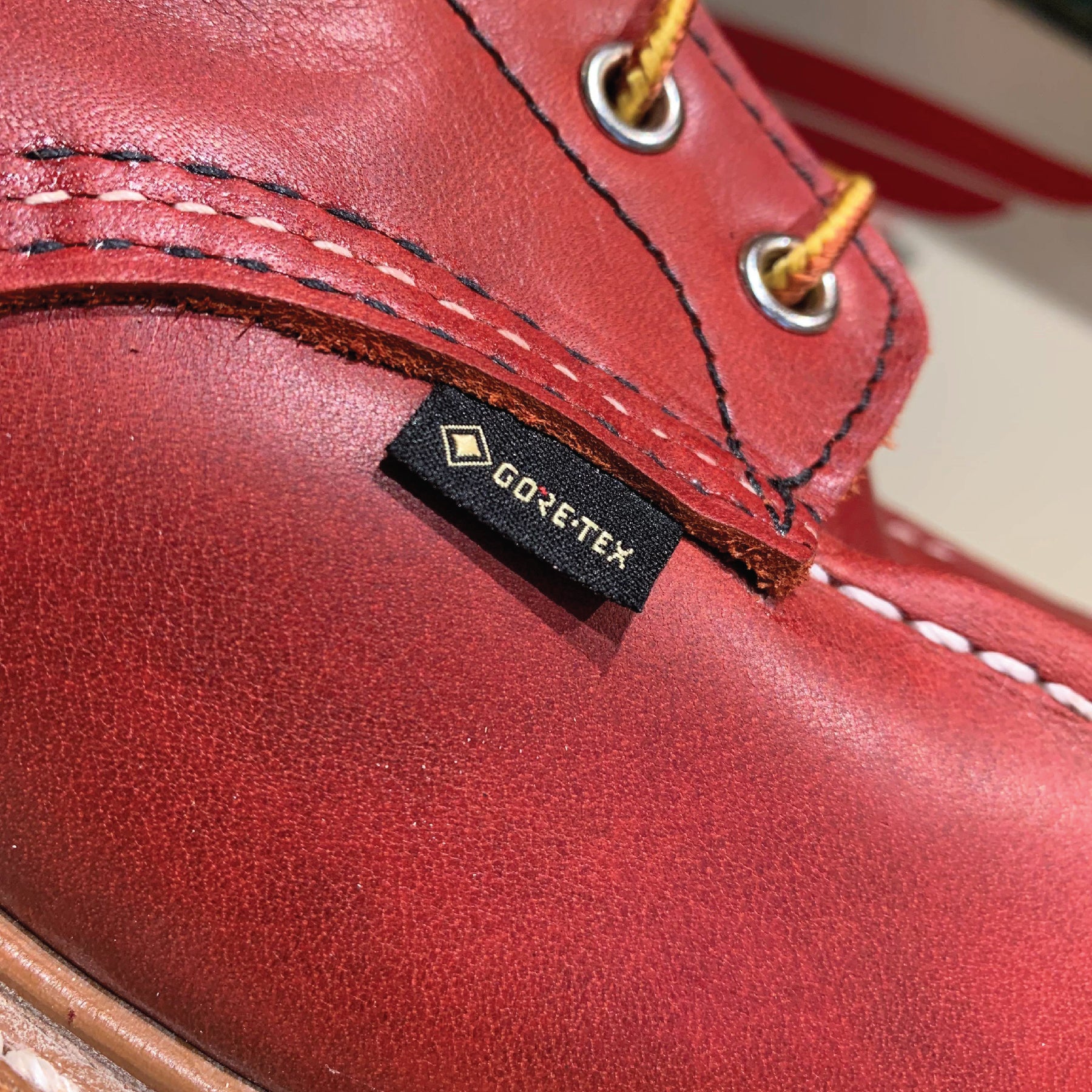 8864 6" Moc Toe Russet Taos Gore-Tex