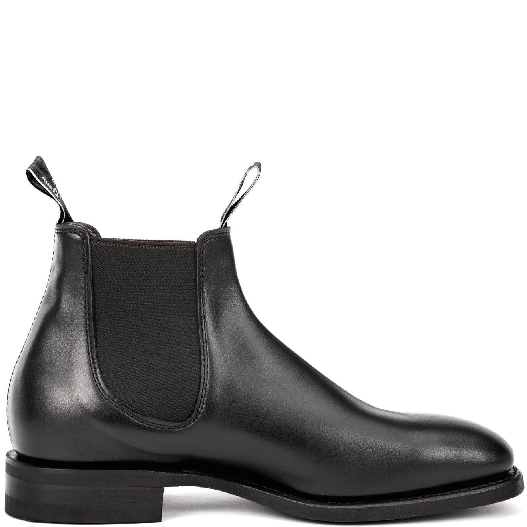 Blaxland Black Yearling