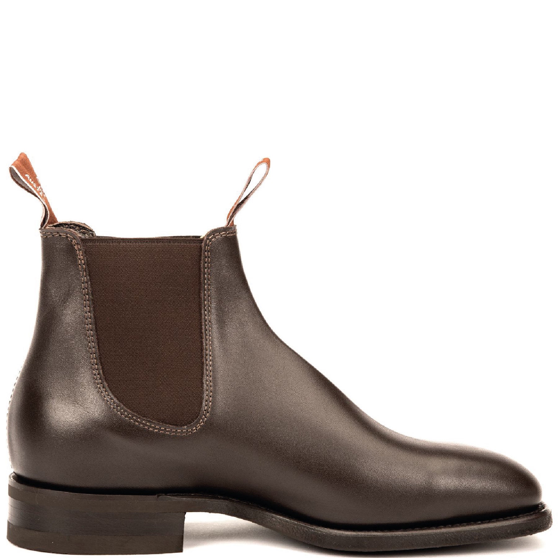 Blaxland Chestnut Yearling