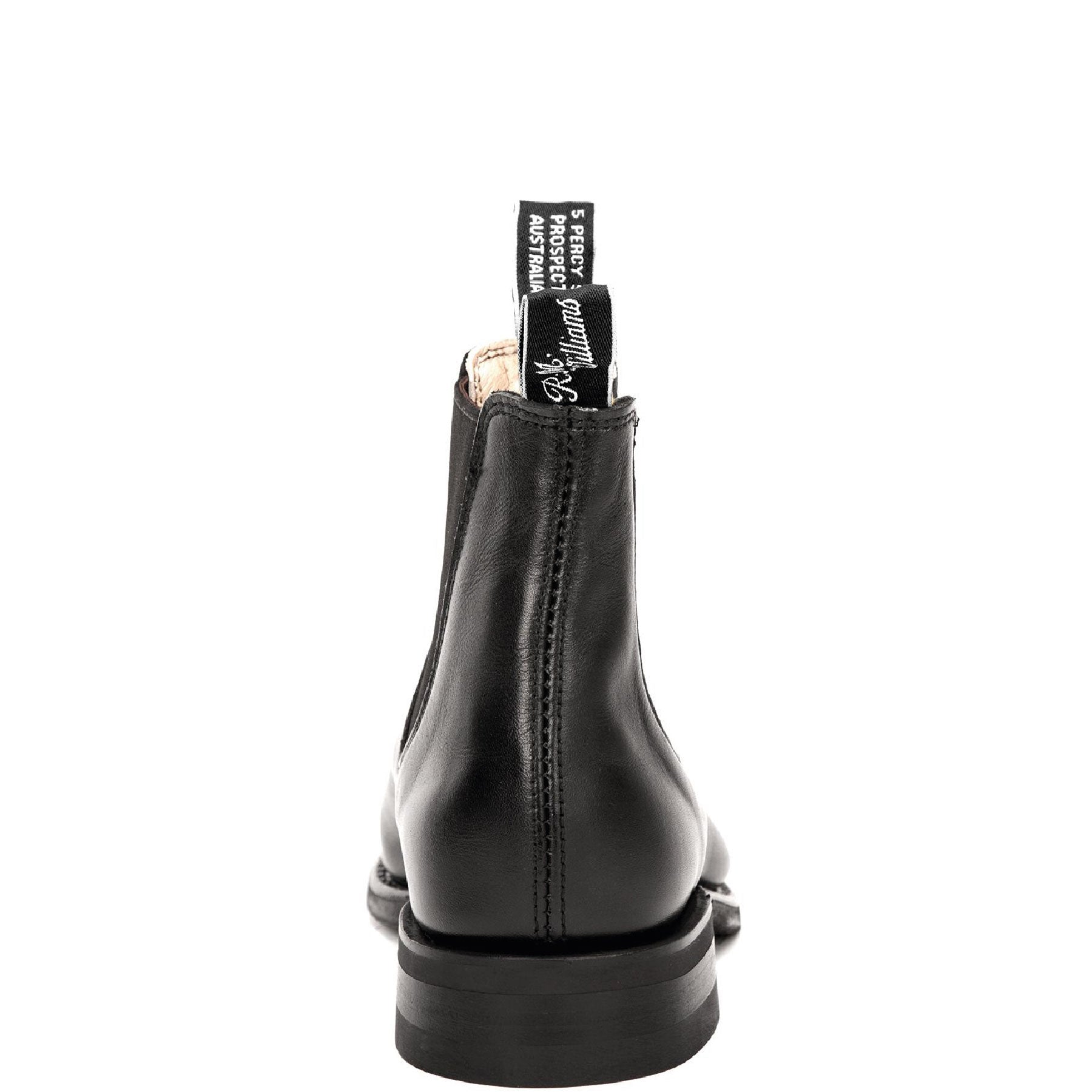 Wentworth Black Yearling