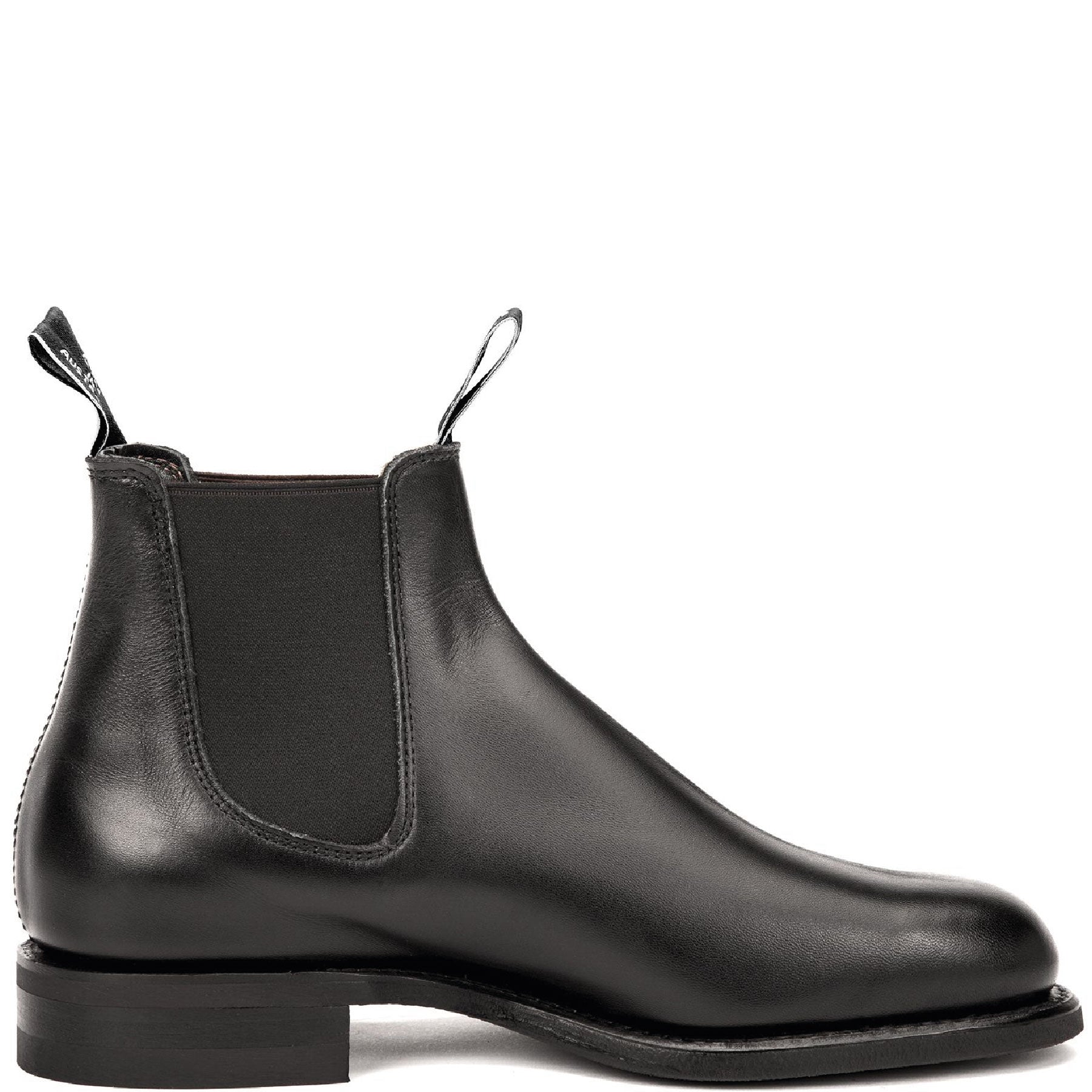 Wentworth Black Yearling