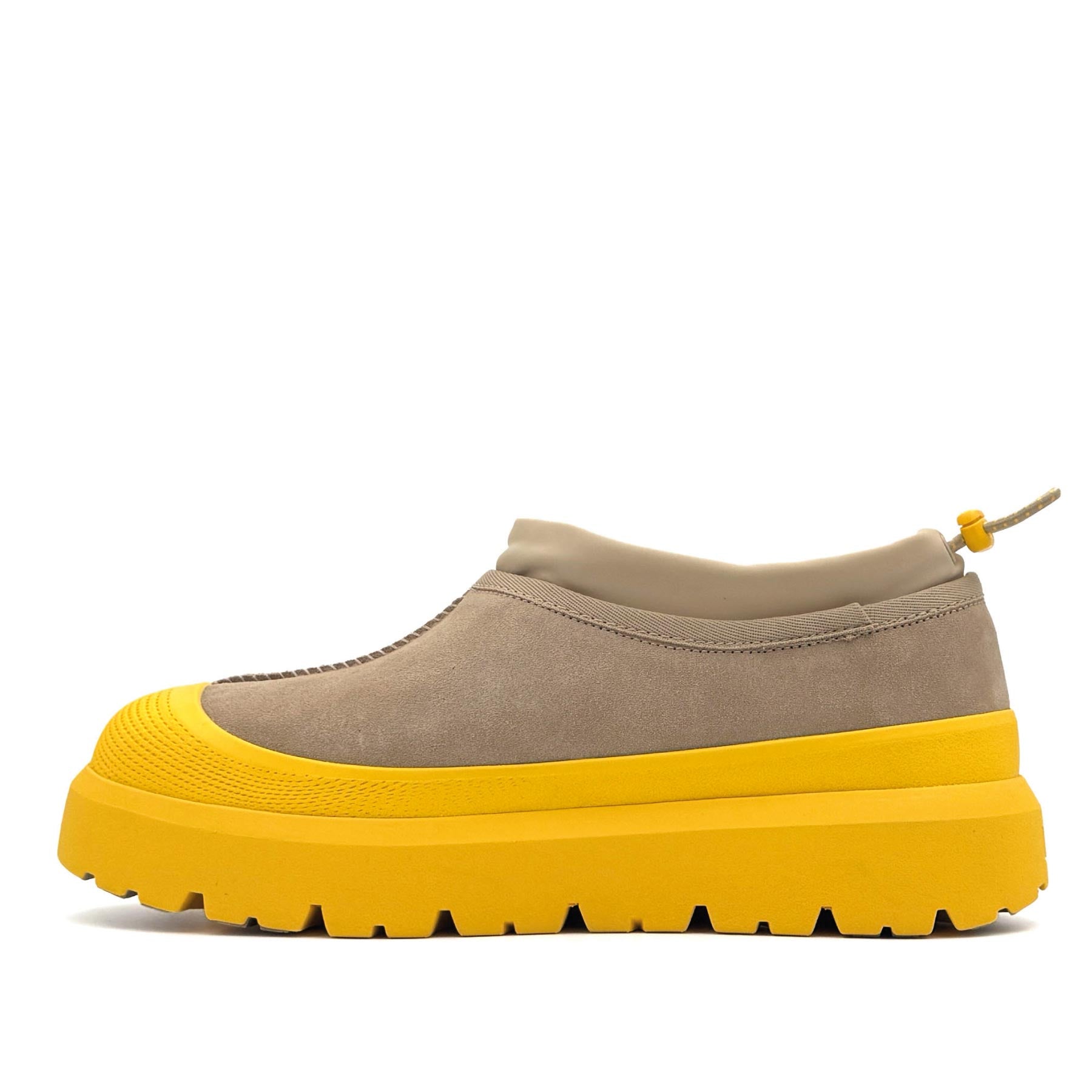 Tasman Weather Hybrid Mustard Seeds S Wheat